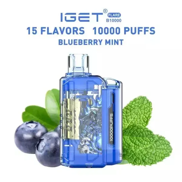 Iget Flare B10000 – Blueberry Mint - Buy Authentic Vape in Mumbai - Vape Shop Mumbai